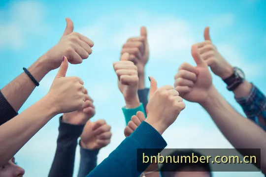 号码记录与走势分析图表